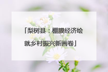 梨树县：棚膜经济绘就乡村振兴新画卷